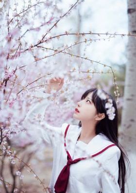 樊梨花的桃花源_蓝光高清视频播放